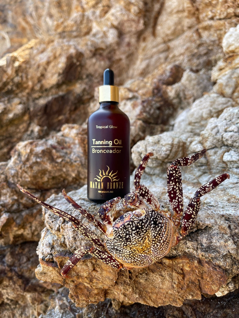 Tanning Oil, Mayan Bronze - Tropical Glow - with a crab on a rock 